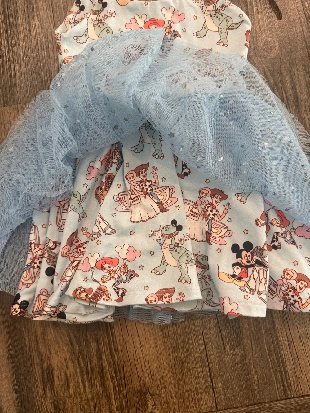 Blue Disney-Style Toy Story Tulle Dress